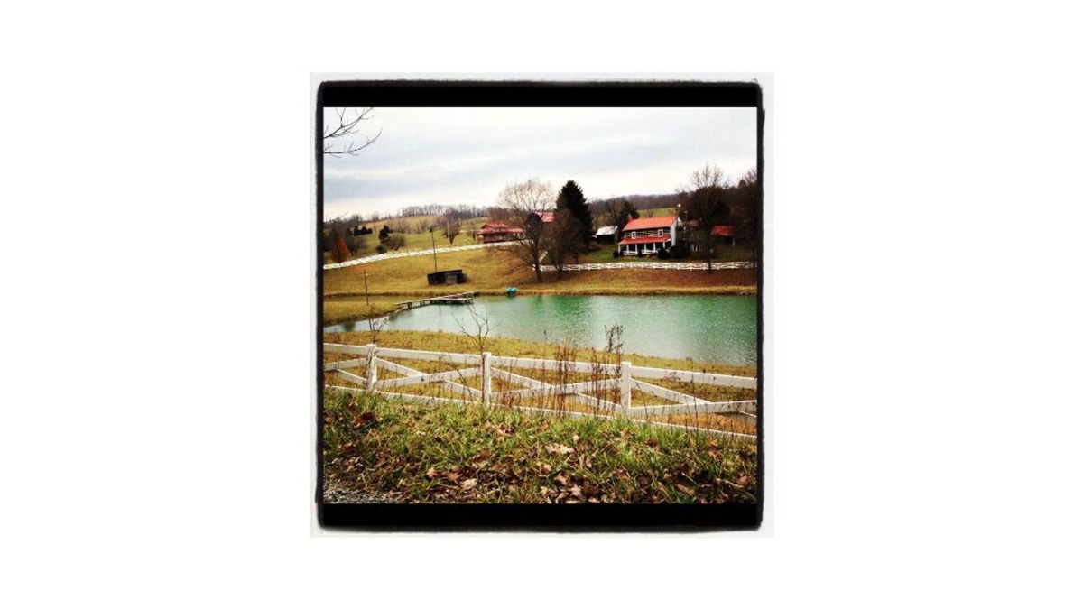 Wytheville Cabin | Wonderful Log Cabin with plenty of privacy, yet only minutes from Wytheville!