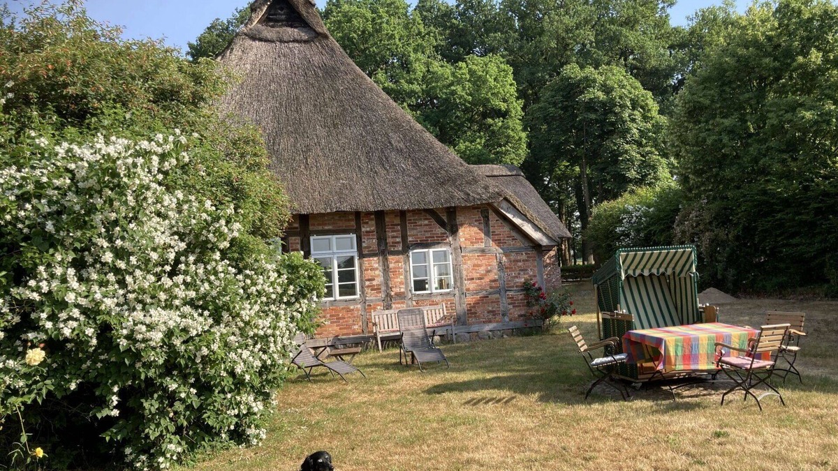 Sandbostel House | Wonderful private villa for 6 people with WIFI, pets allowed and parking