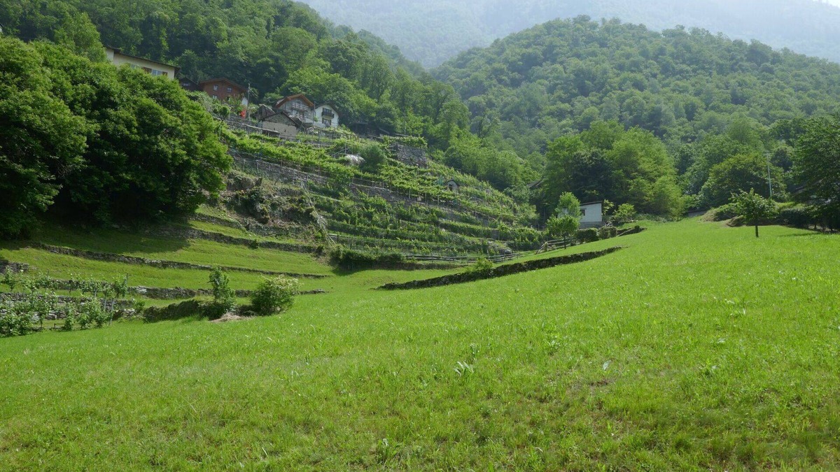 Malvaglia-dagro House | Wonderful private villa for 4 people with WIFI, TV, patio, pets allowed and parking