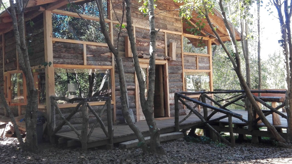 Pucon House | Wonderful rustic cabin, with native trees, with Rio Trancura, equipped