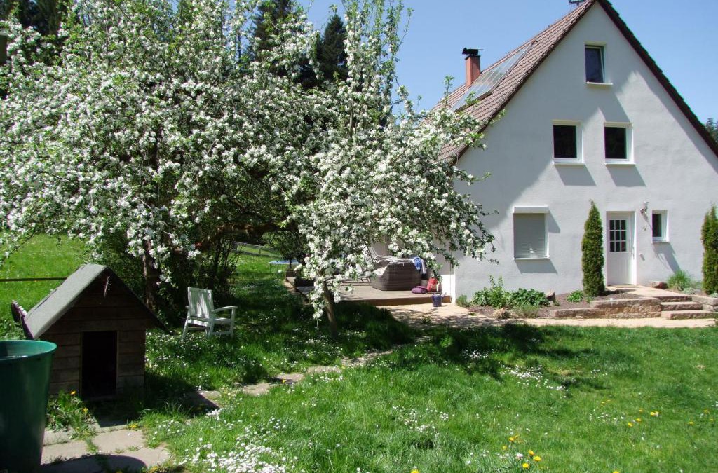 Schwaebisch Gmuend Apartment | Wonderworld