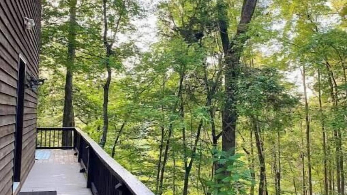 Rock Island Cabin | Wooded Cabin on Rocky River