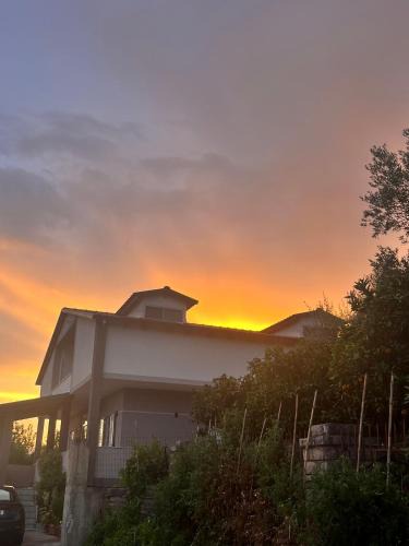 Delvine House | Wooden Guest House