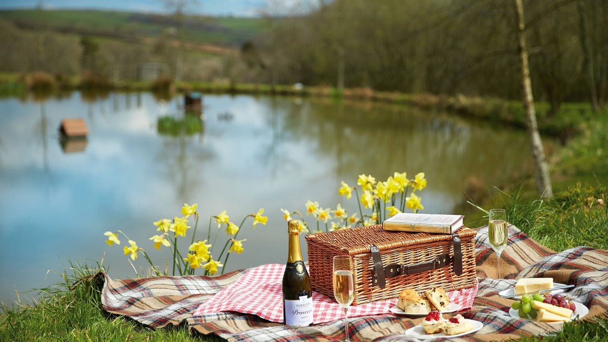 Romansleigh Cottage | Woodland Cottage, South Moulton, a beautiful, spacious cottage on two floors in a private location