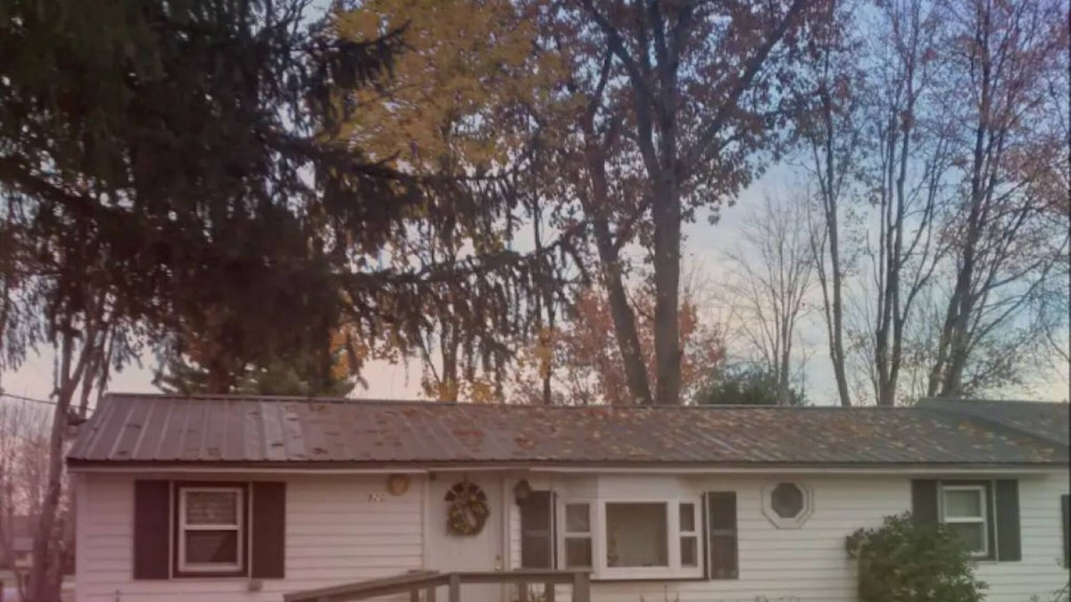 Blossvale Cabin | Woodland Cottage Sylvan Beachnnnn