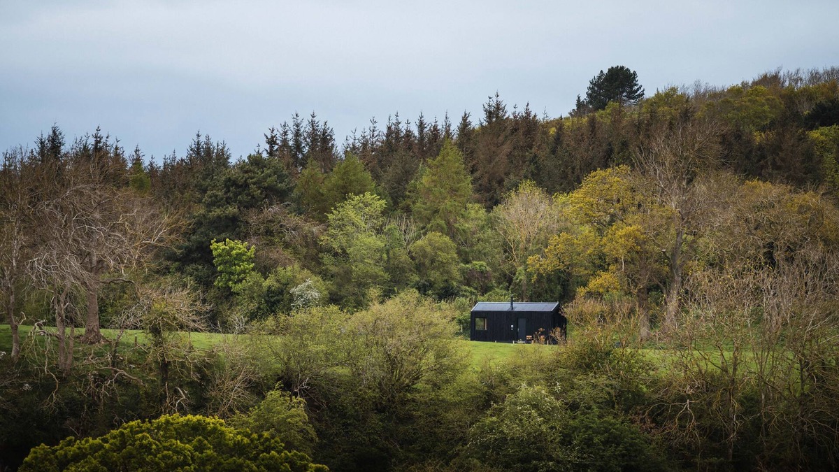 St George Cabin | Woodland Hideaway on a Working Farm Near Snowdonia