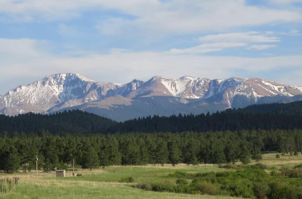 Sedalia Ski Chalet | Woodland Park Retreat Mountain Views, Crisp Mountain Air, Wildlife Viewing