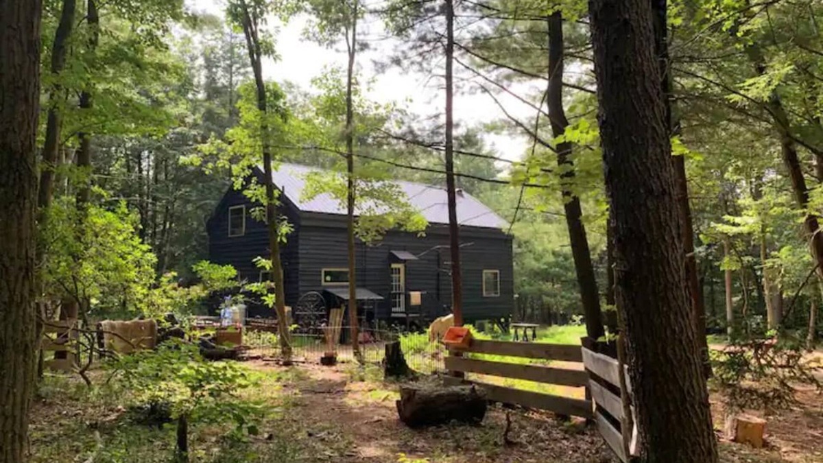 Lehighton Cabin | Woodland Retreat on 10 Acres