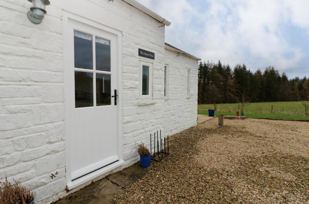 Bishop Auckland House | Woodland View