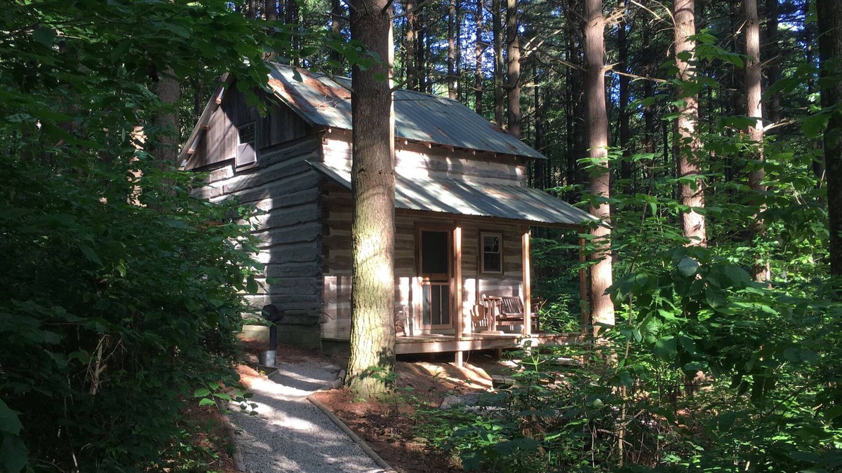 Laurelville Cabin | Woodland view-Green Log Cabin