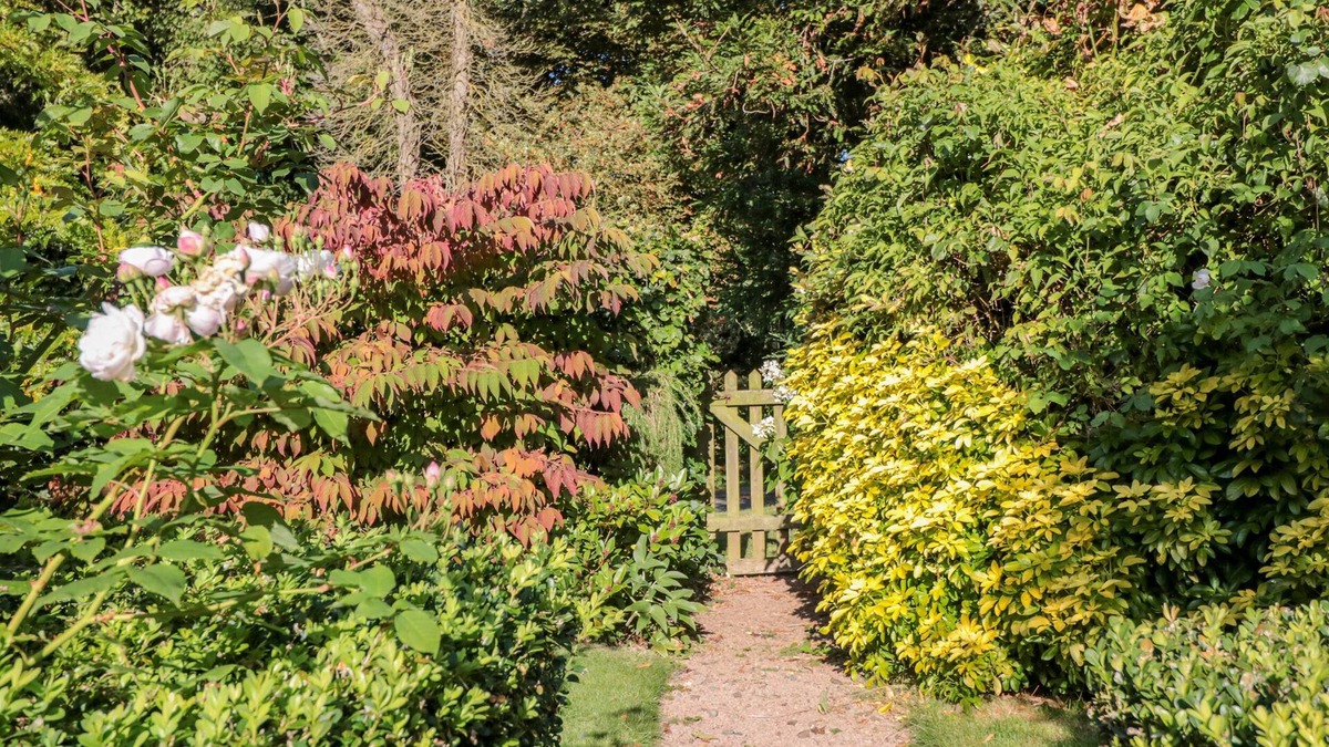 Little Cowarne Cottage | Woodlands Cottage