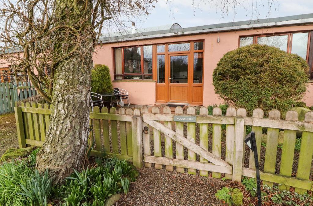 Ivegill House | Woodpecker