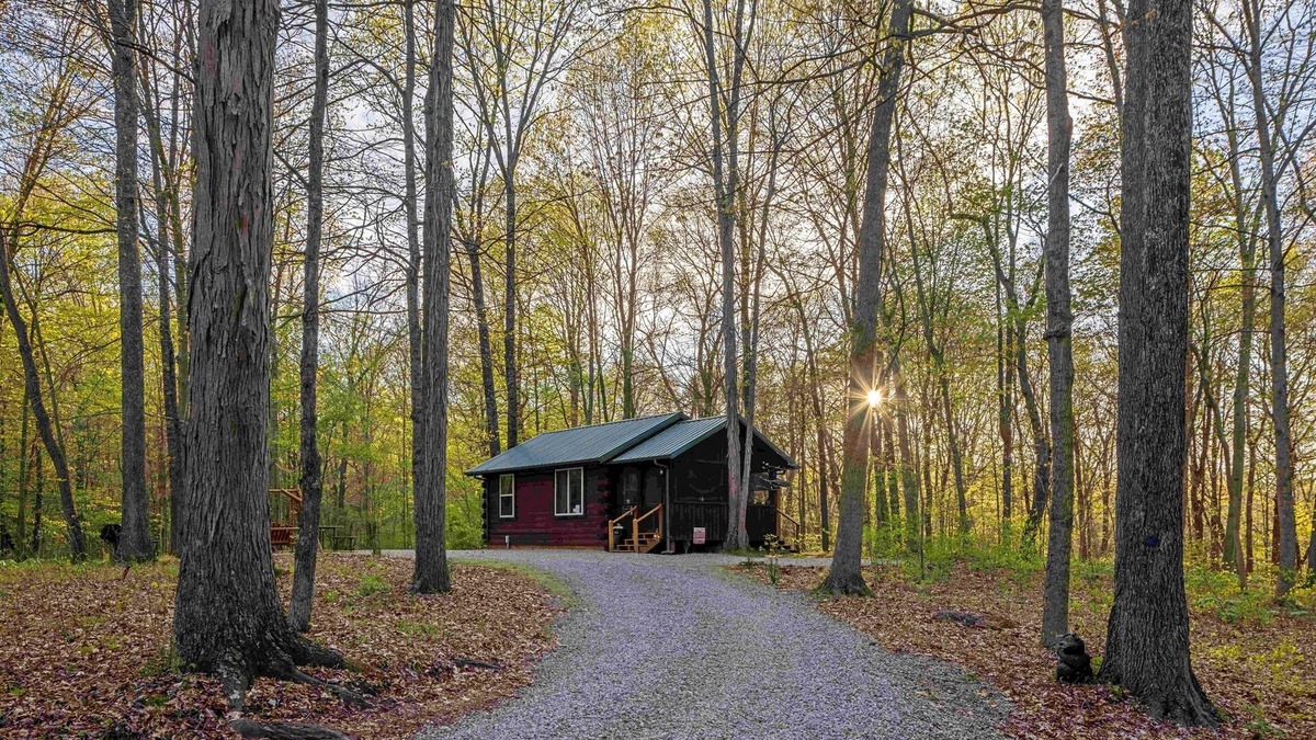 Logan Cabin | Woods Cabin, secluded with hot tub