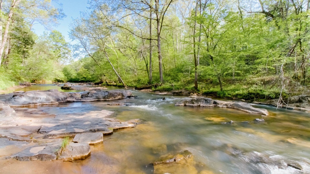 Madison Heights House | Woods & Water to Explore just 20 mins to Liberty Univ - 10 to Downtown Lynchburg