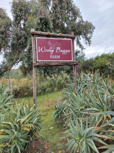 Tonteldoos House | Woolly Bugger Farm