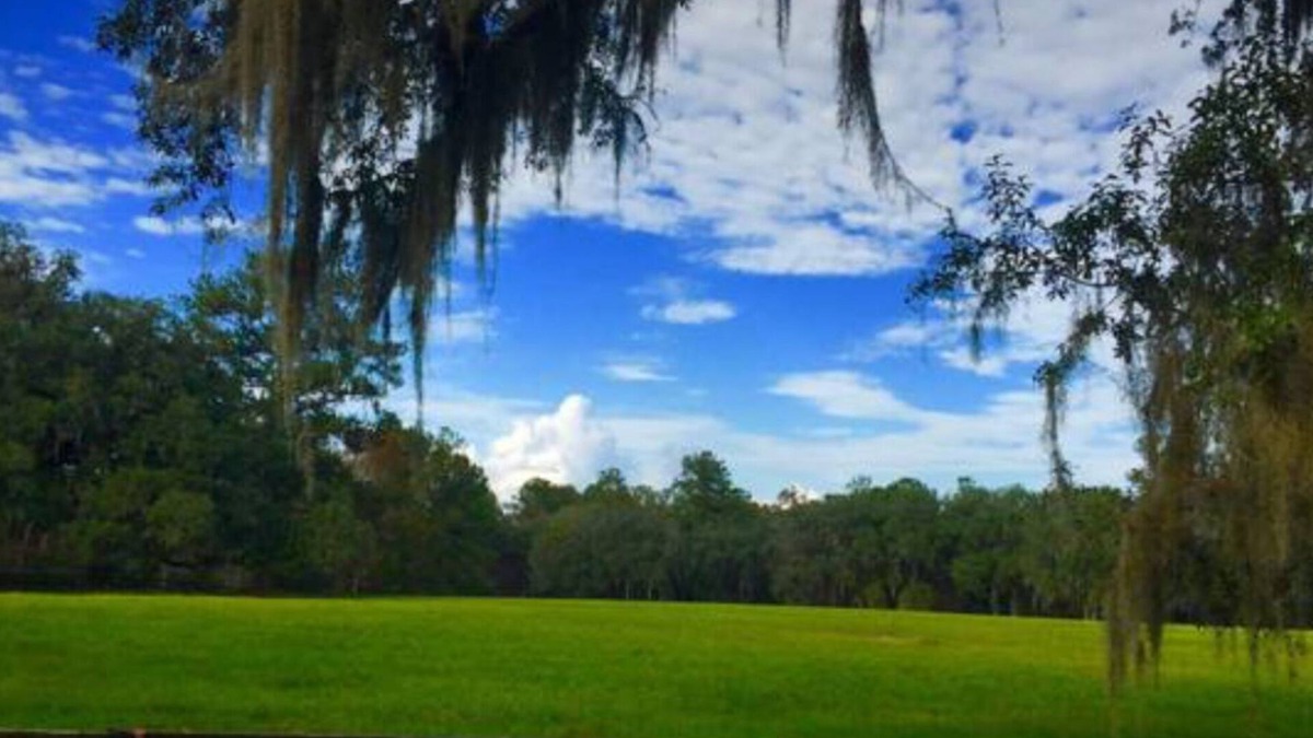 Reddick Apartment | WORLD EQUESTRIAN CENTER WEC 10 mi 1/1 Private Apt Pets Horses ok wifi cable