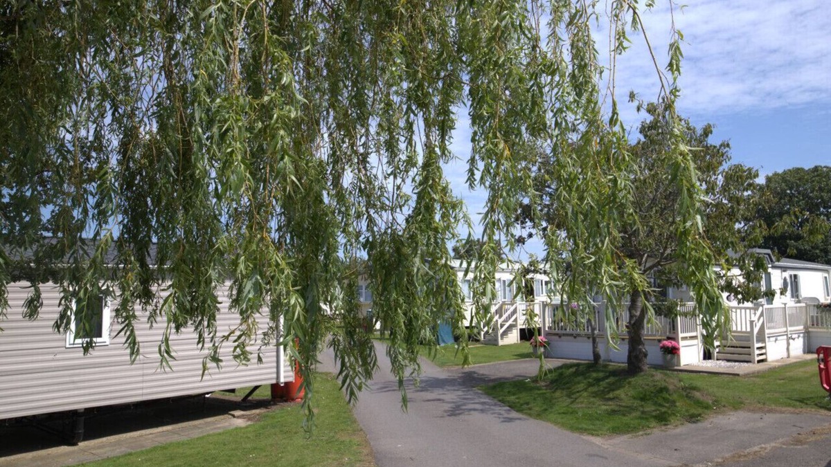 St Mary's Bay RV Rental | WR2 Marlie Holiday Park
