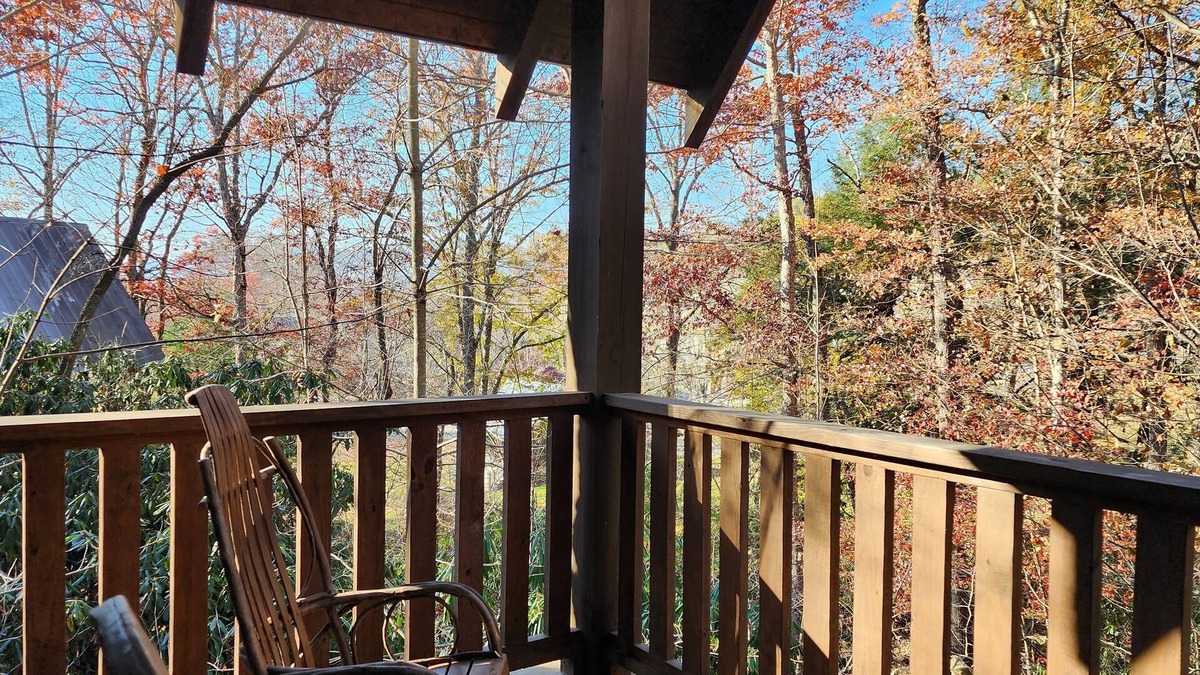 Cheshire Cabin | Wren’s Den | Cozy Cabin w/Fireplace + Jetted Tub + Biltmore Pass