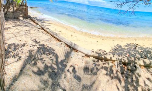 Boljoon Other | WUJOB Beach Campsite