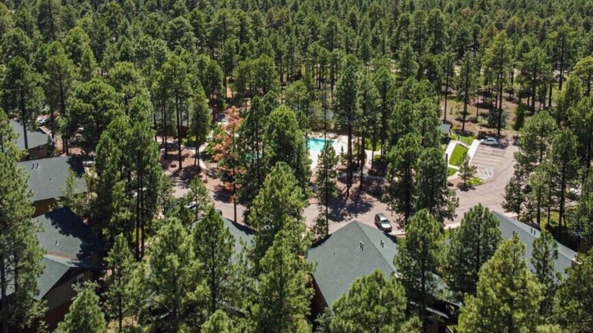 Pinetop Apartment | Wyndham Pinetop - Stunning Studio