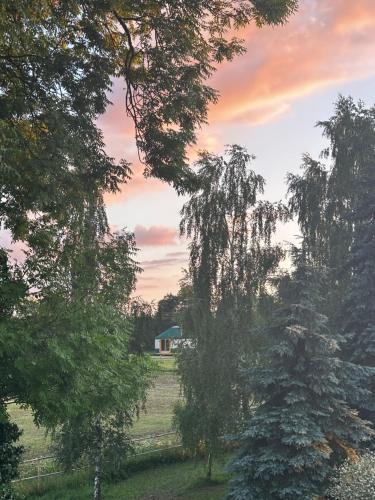 gmina Olsztyn Other | Wzgórze Na Jurze