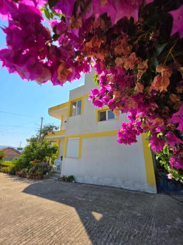 Delvine House | Xhemi's Home&Garden