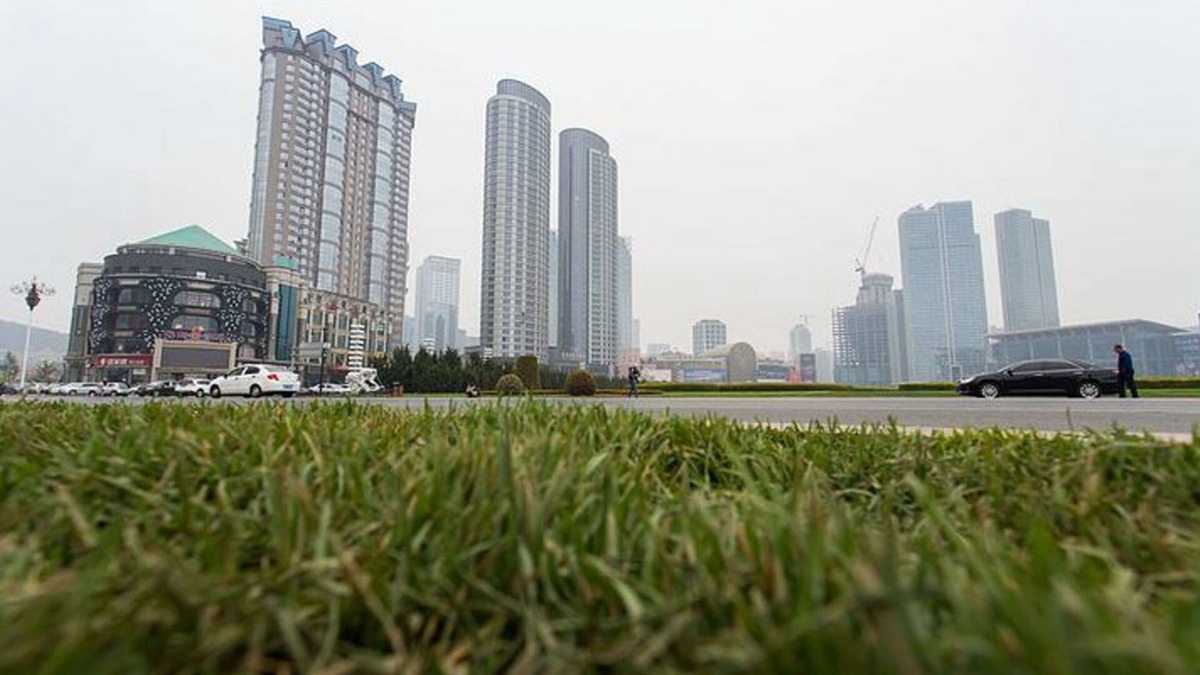 Xinghai Commercial Area Apartment | Xinghai Haiyue Bay Suites Apartment