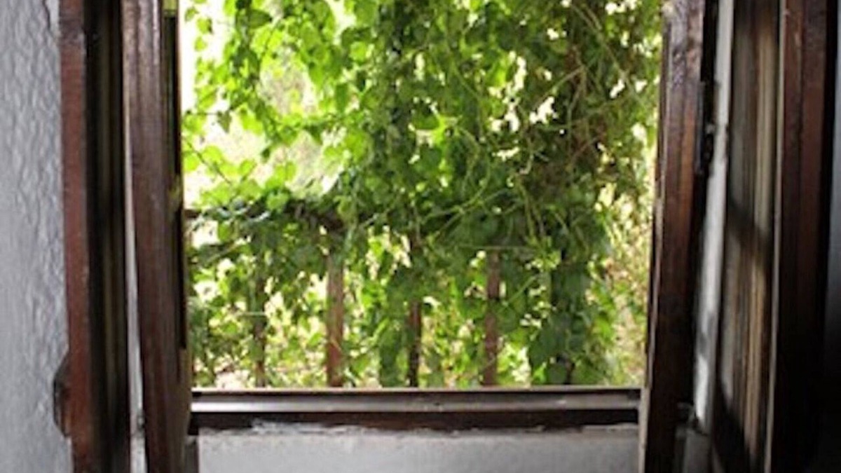Ansiao Cottage | XVIIIc. Cottage in village on the hill/Casa da Aldeia 18th century, serra.