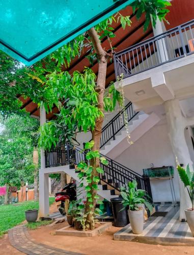 Debarawewa Resort | Yala Queens Resort