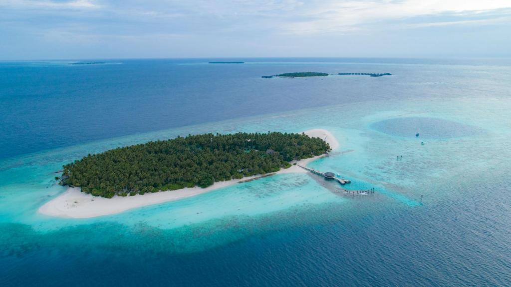 Rinbudhoo Resort | Yash Nature Resort, Maldives