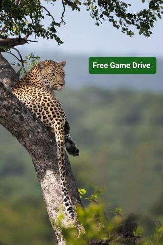 Skukuza Other | Yebo Safari Tents-Stay Inside Kruger