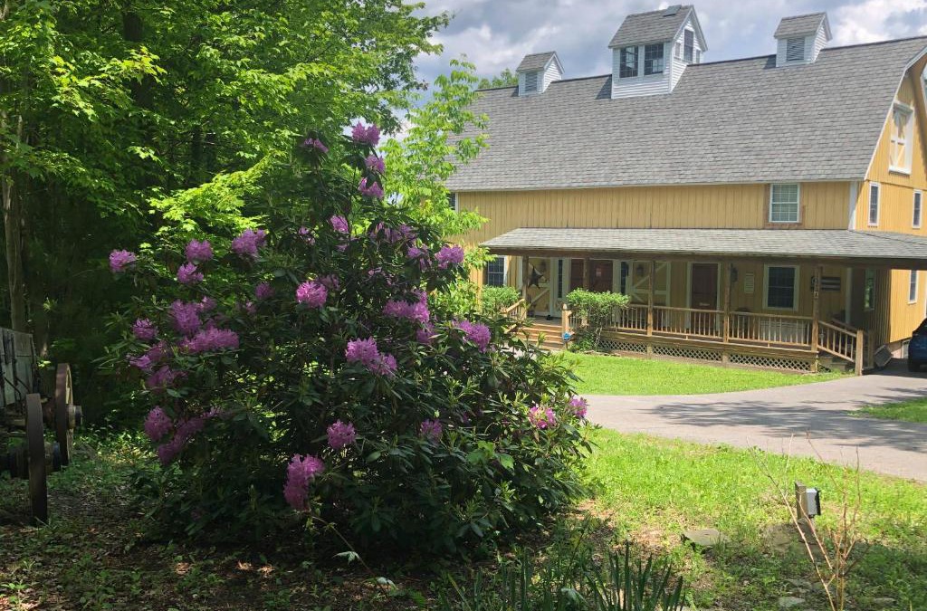 Etna House | Yellow Barn Estate
