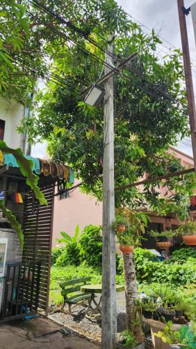 Trang House | Yenta4fafad