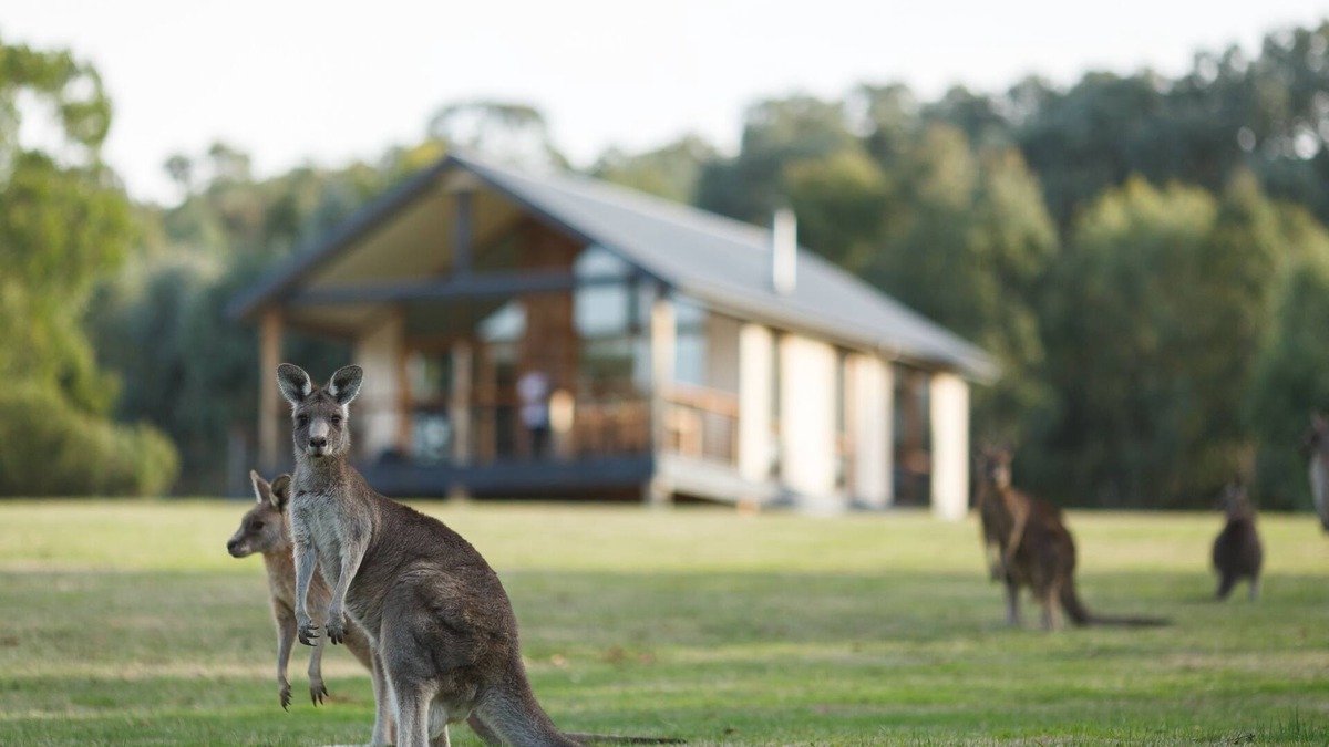 Yering Cottage | Yering Gorge Cottages