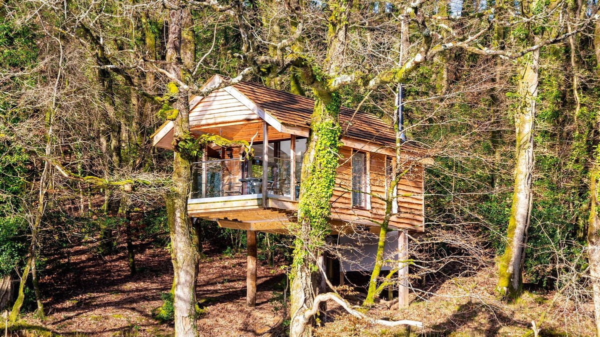 Beaworthy Apartment | Yeworthy Eco-Treehouse