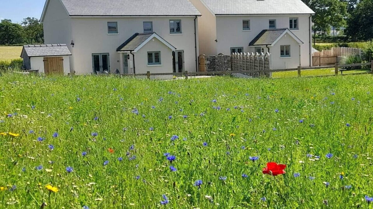 Llandovery House | Ynyswen Arosfa · Family Country Cottage with Stunning Mountain View