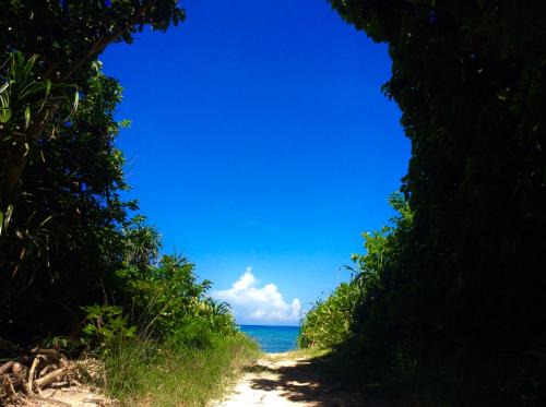 Ishigaki House | YOISAMA Sunset Beach House