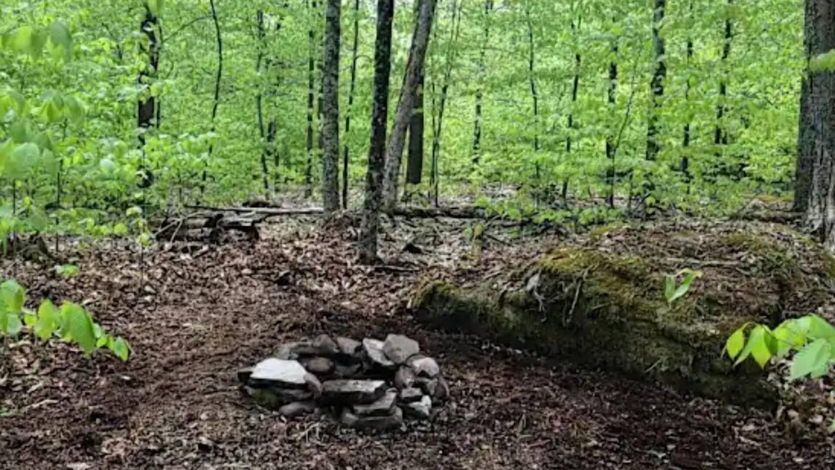 Ferndale RV Rental | Yokahu Bell Tent, Taino Woods 15 mins to Bethel Woods Concerts, Casino, Falls