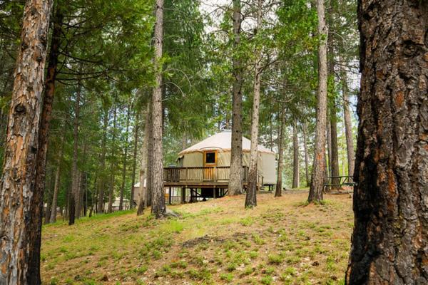 Harden Flat Resort | Yosemite Lakes Hillside Yurt 5
