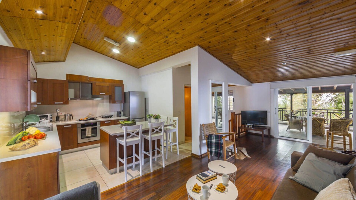 Platres Villa | You and Your Family will Love this 5 Star Villa with Forest Views, Limassol Villa 1001
