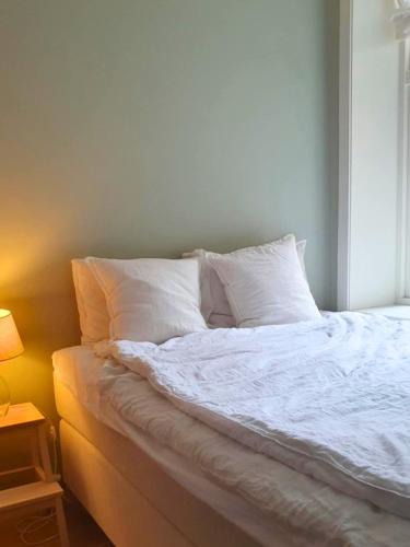 Bergen City Centre Apartment | You cottage in the city
