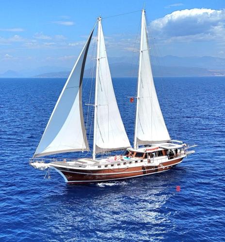 Kotor Boat Rental | Your accommodation in Kotor bays
