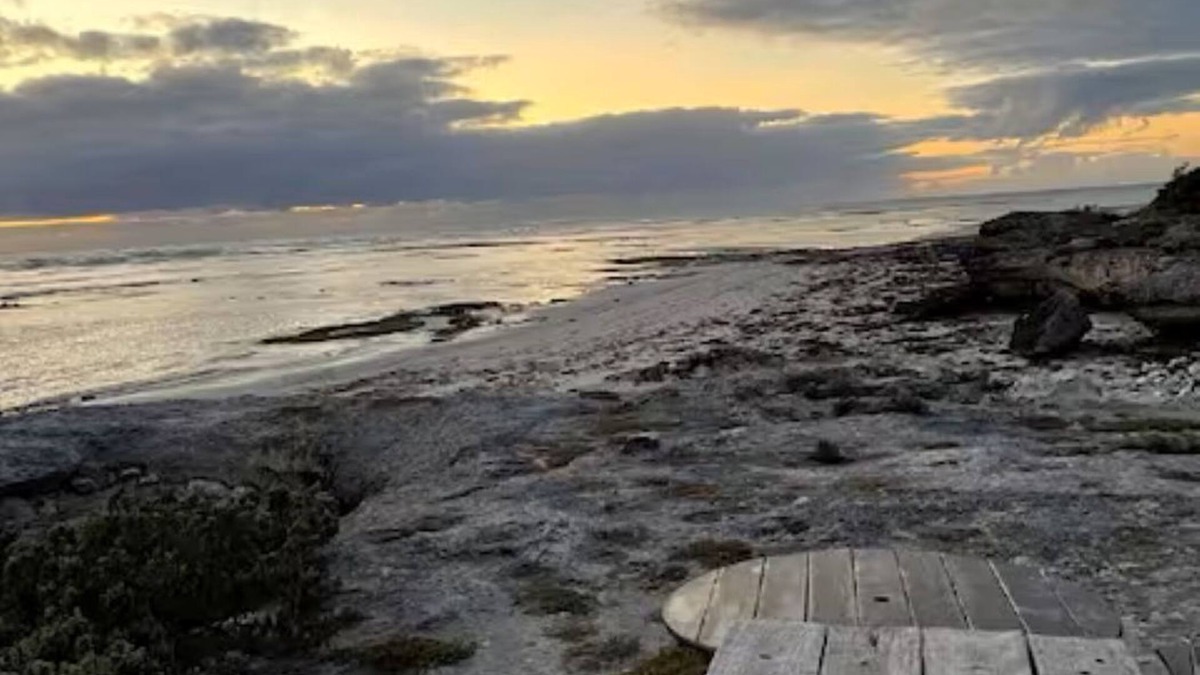 Nene Valley House | Your Beach Holiday Awaits.