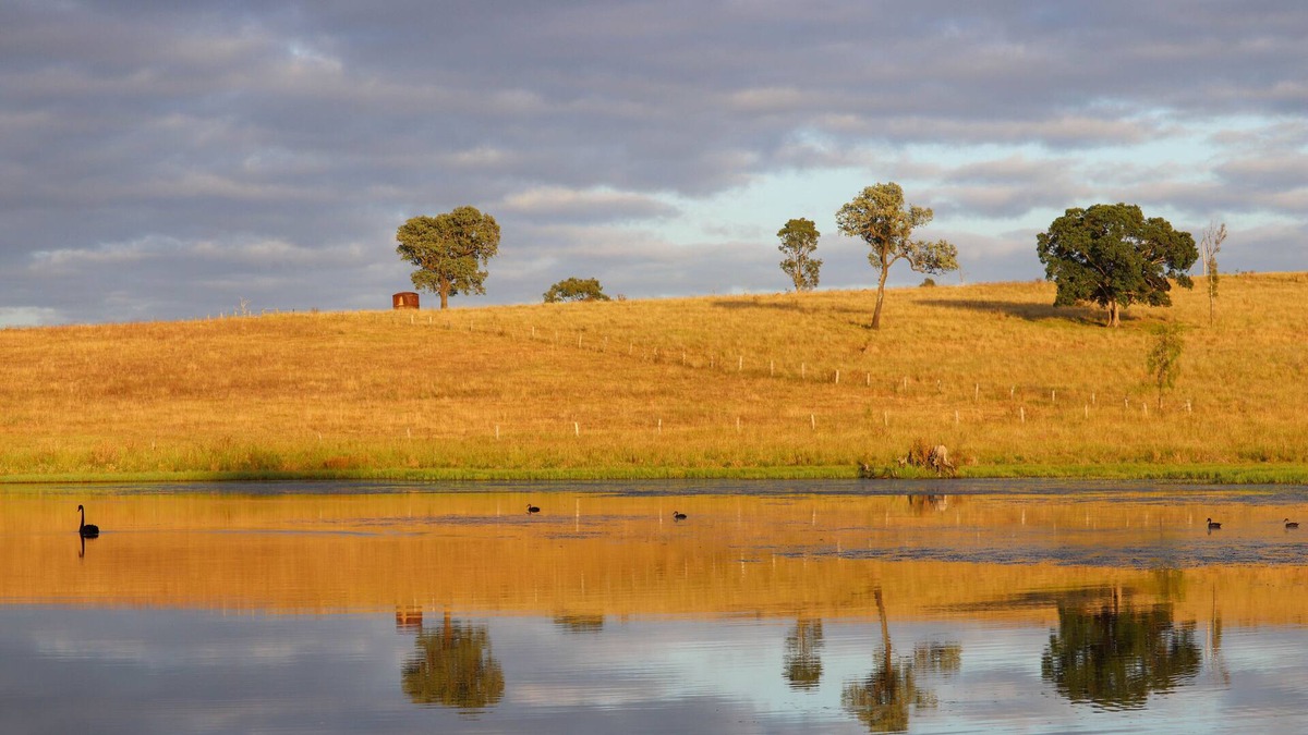 Biarra Other | Your Brisbane Valley adventure starts here