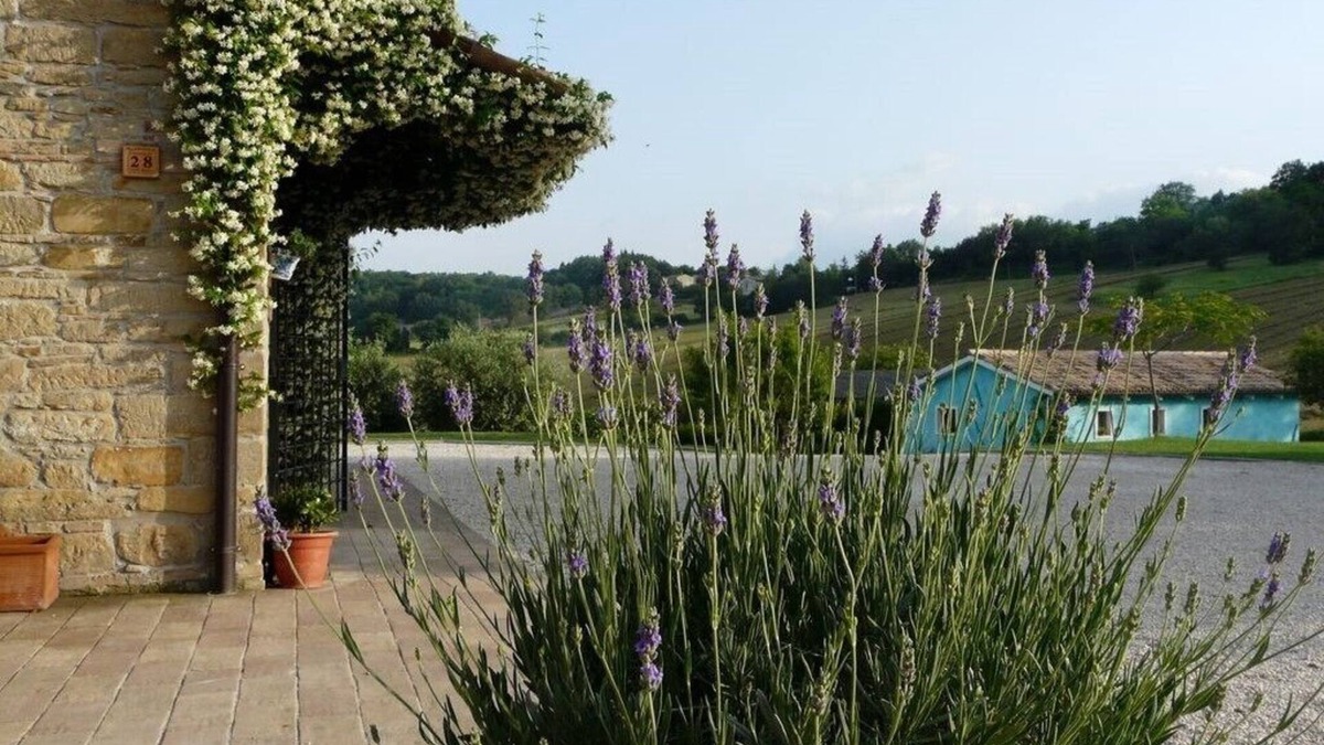 Santa Maria d'Alto Cielo House | Your Country House with pool in the green