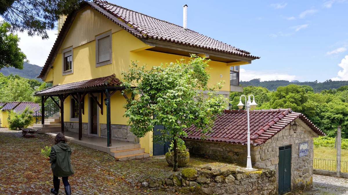 Oliveira de Frades House | Your country retreat: Casa do Pinheiro