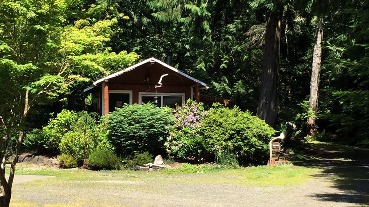 Shelton Cabin | Your Forest Hideaway on Beautiful Harstine Island