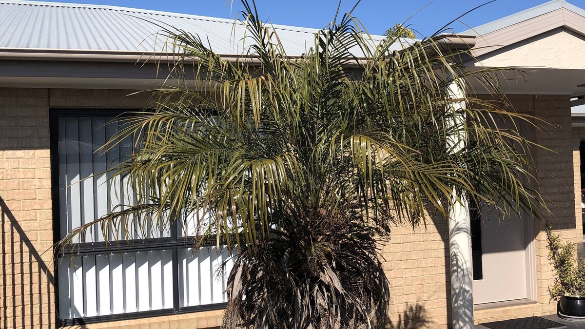 Yarrawonga Apartment | Your home away from home just across from the lake