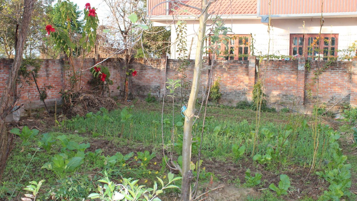 Dhapakhel House | your home in Nepal at peace place with best view at Dhapakahle Nepal.