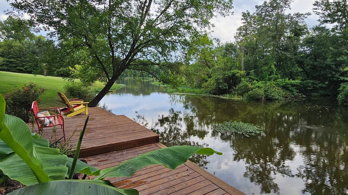 Albemarle House | Your private cove awaits! nRecharge and reconnect on Lake Tillery.